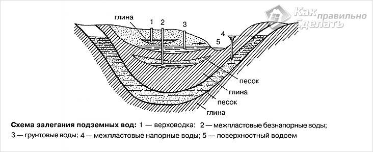 Как найти воду на участке