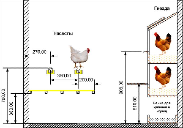 Как построить курятник своими руками