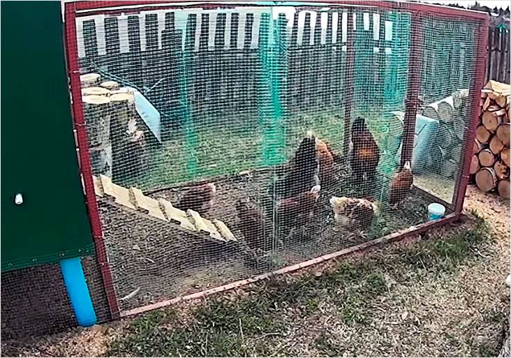 Как построить курятник своими руками