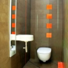 Кольору туалету (76 фото): використання білого і сірого, червоного і зеленого, синього та жовтого кольору, світлих і бежевих тонів в дизайні туалету